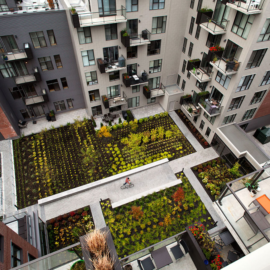 Le William Condominiums Griffintown