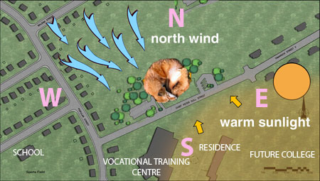 L'École primaire Rainbow