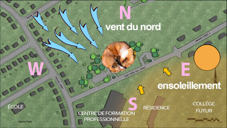 L'École primaire Rainbow