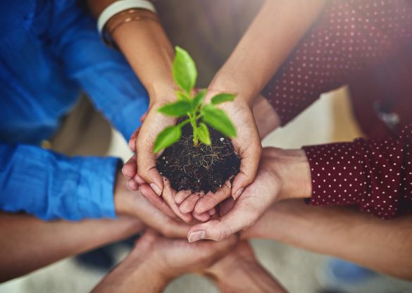 Concevoir la résilience : écouter, apprendre et bâtir l’avenir