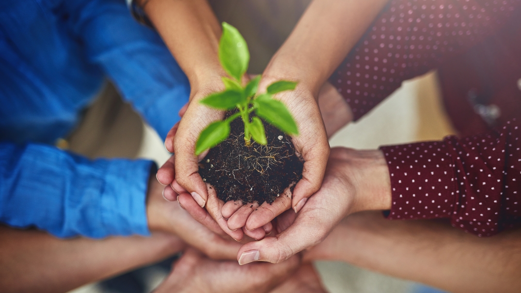 Concevoir la résilience : écouter, apprendre et bâtir l’avenir